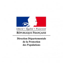 Logo des DDPP