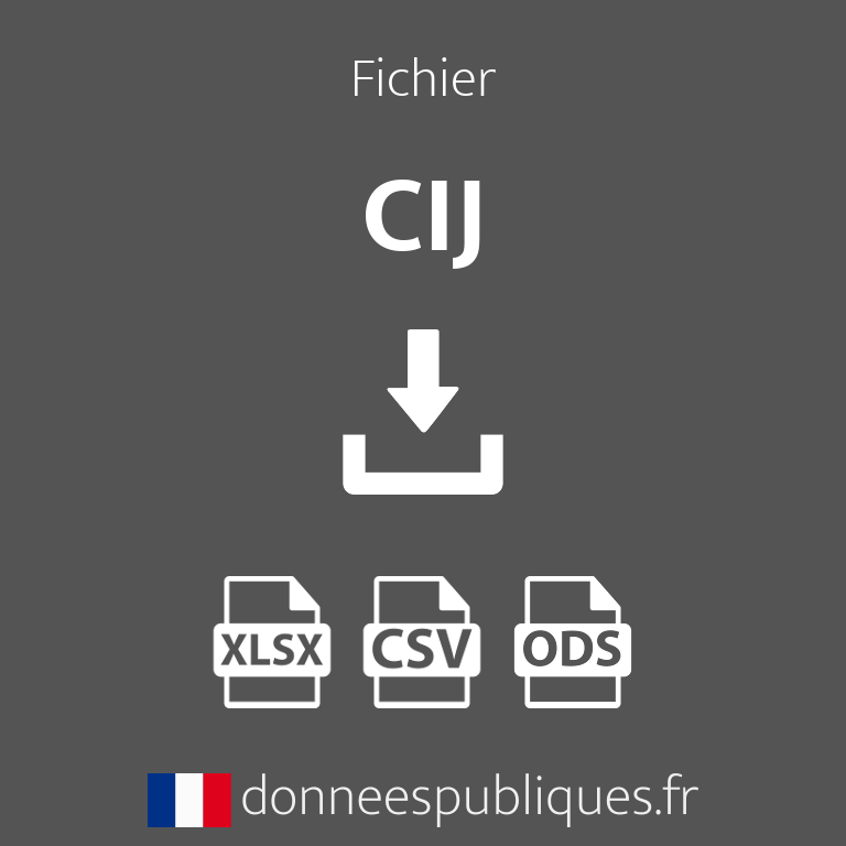 Fichier des CIJ