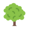 1 arbre planté offert dès 150 € avec Tree-Nation